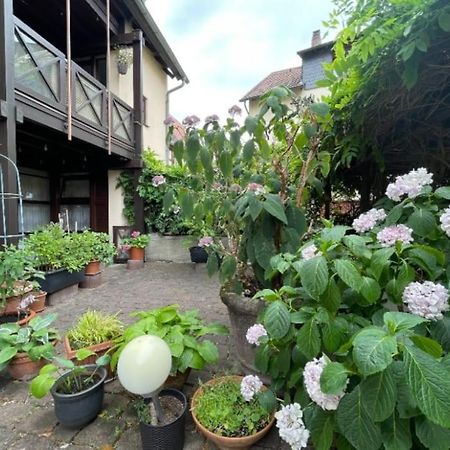 Apartment Gerberbachviertel فينهايم المظهر الخارجي الصورة