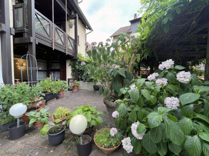 Apartment Gerberbachviertel فينهايم المظهر الخارجي الصورة